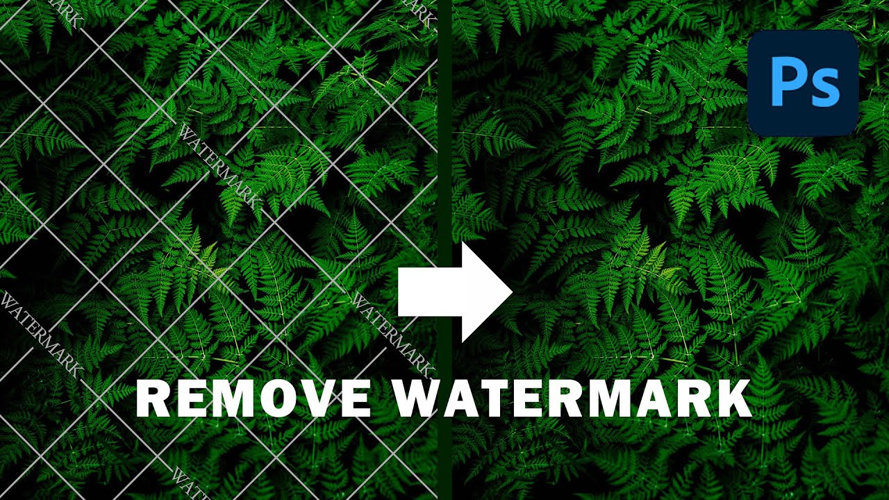 adobe photoshop remove watermark