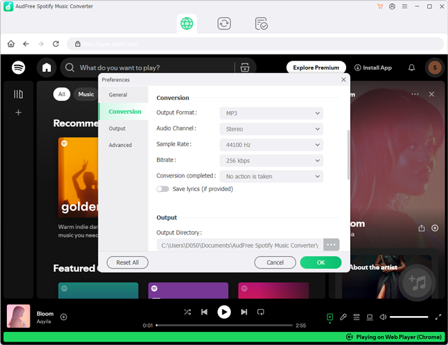 audfree spotify music converter