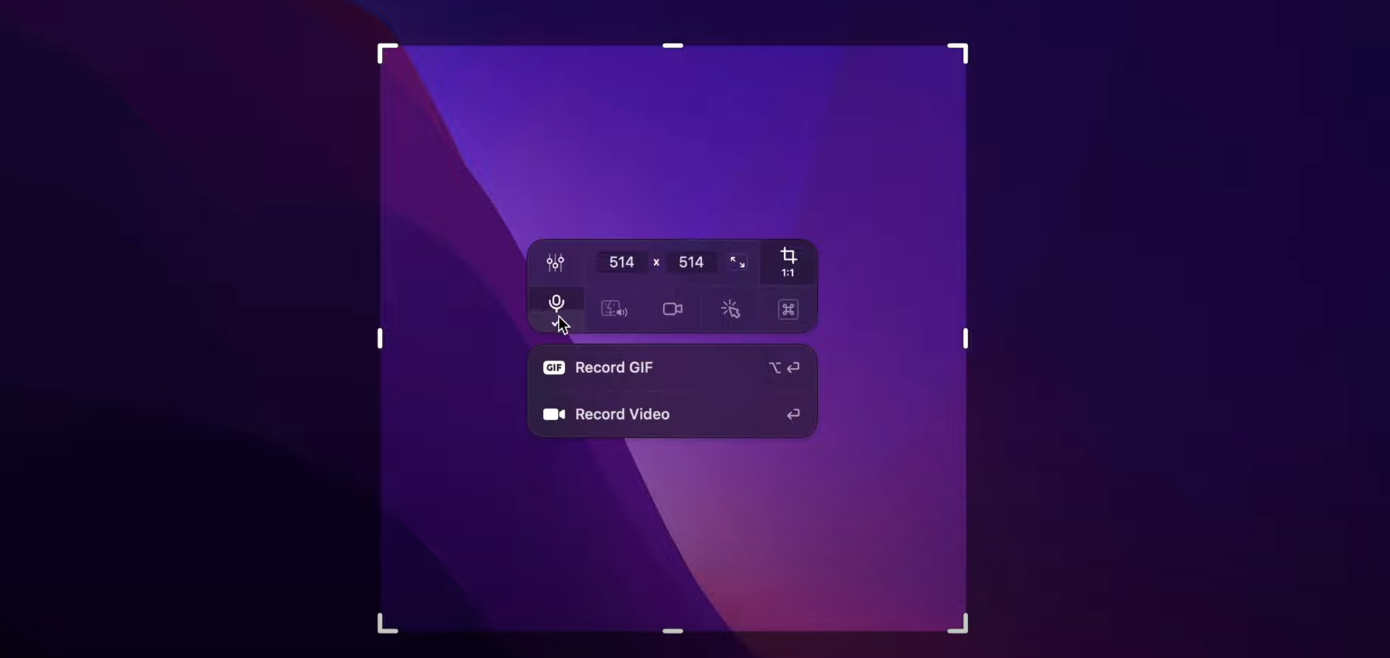 cleanshot turn on audio