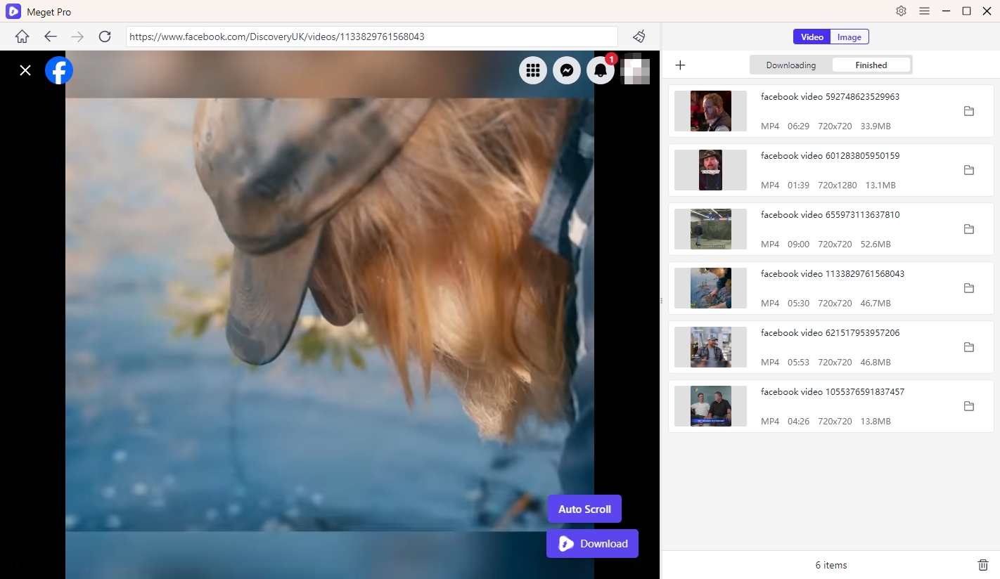 meget pro bulk download videos