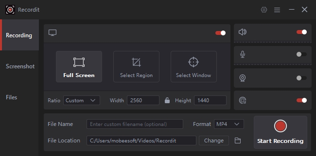 recordit interface