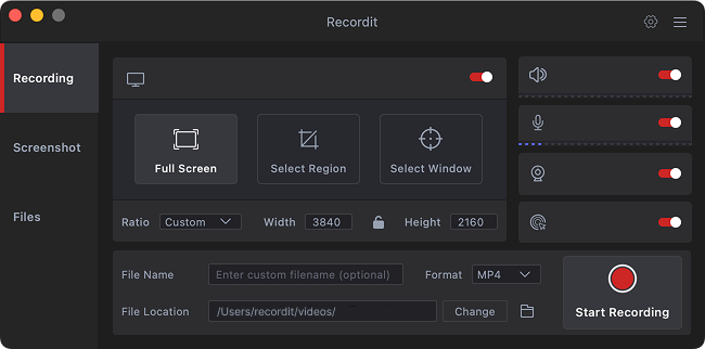 recordit mac interface