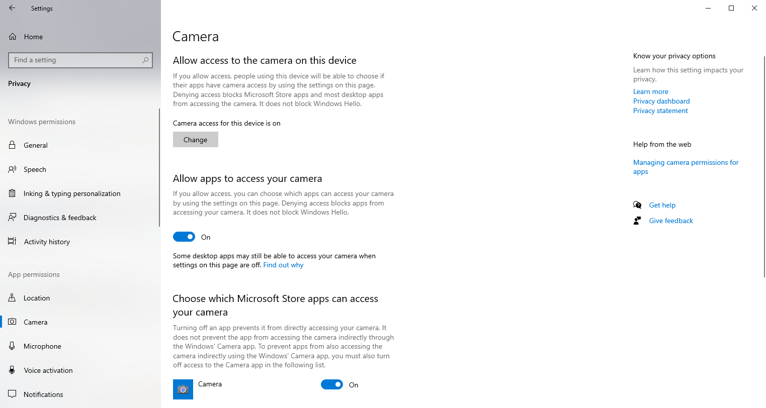 windows camera access